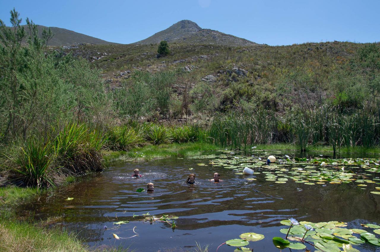 Phillipskop Mountain Reserve Stanford Exterior photo